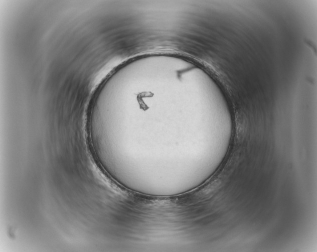 X0000101661422200807311425