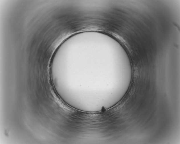 X0000101661423200807311425