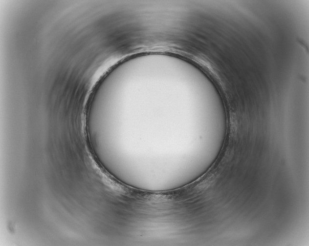 X0000101661424200807311425