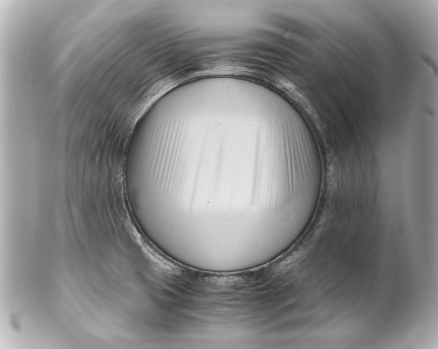 X0000101661425200807311425