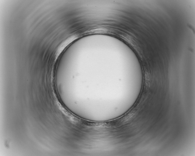 X0000101661426200807311425