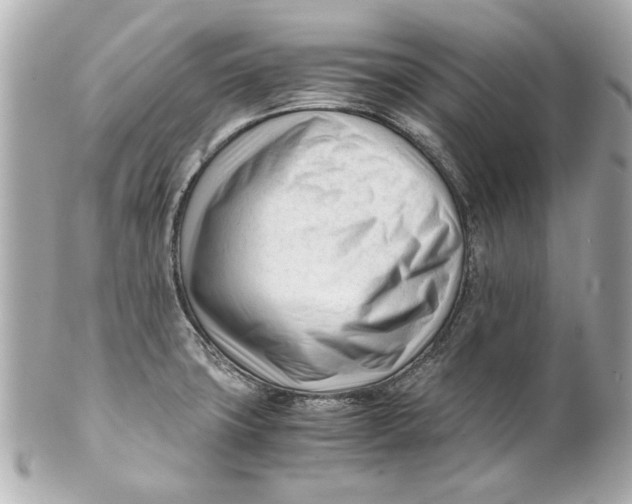 X0000101661427200807311425