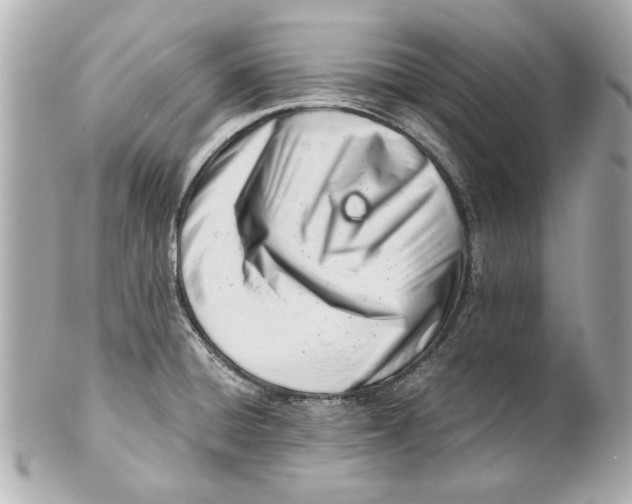 X0000101661428200807311425