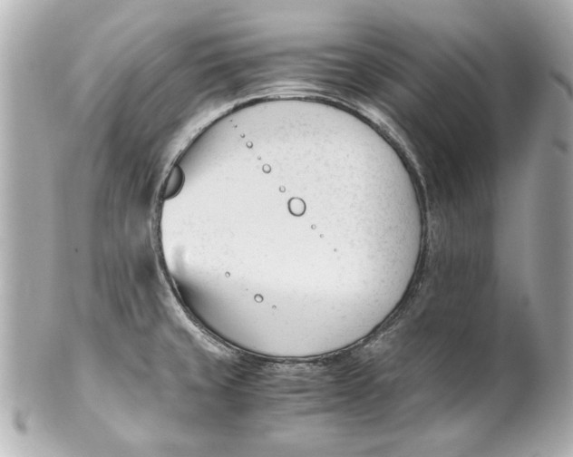 X0000101661429200807311425