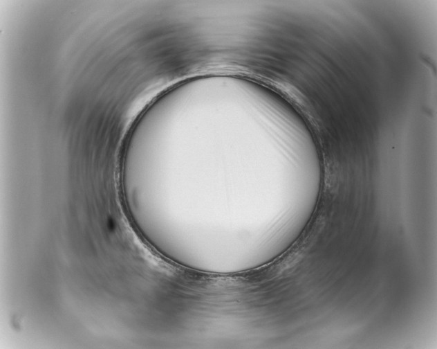 X0000101661430200807311425