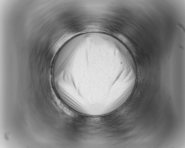 X0000101661431200807311425