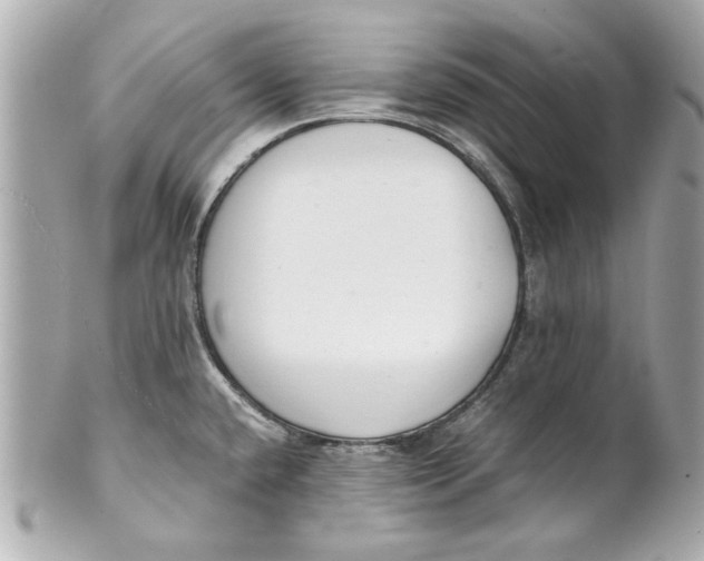 X0000101661432200807311425