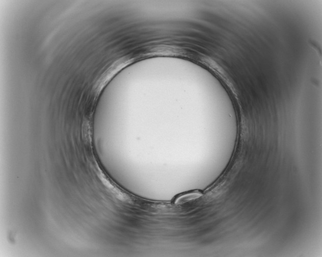 X0000101661433200807311425