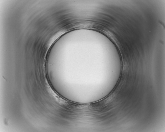 X0000101661434200807311425