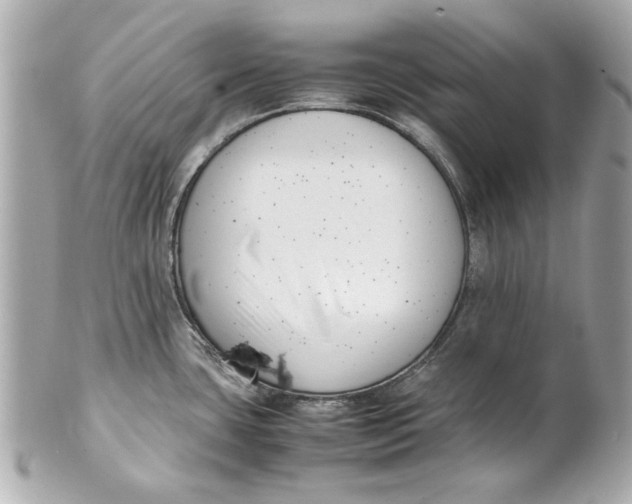 X0000101661435200807311425