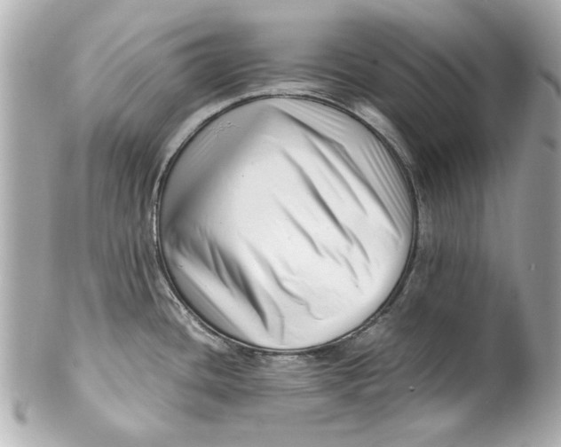 X0000101661436200807311425