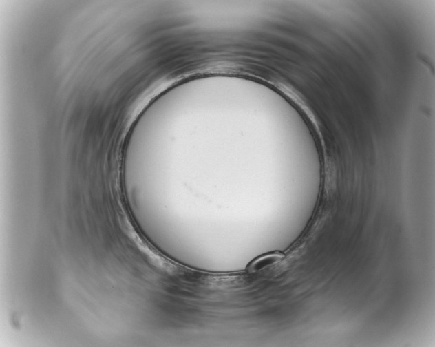 X0000101661437200807311425