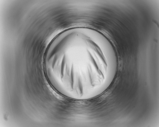 X0000101661438200807311425