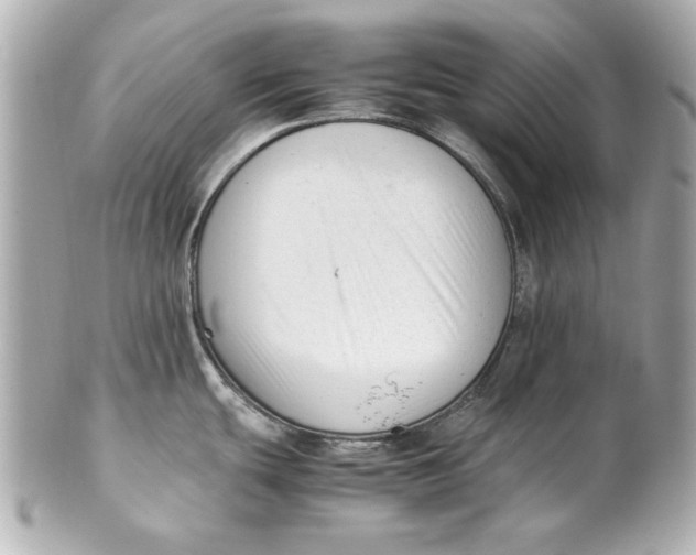 X0000101661439200807311425