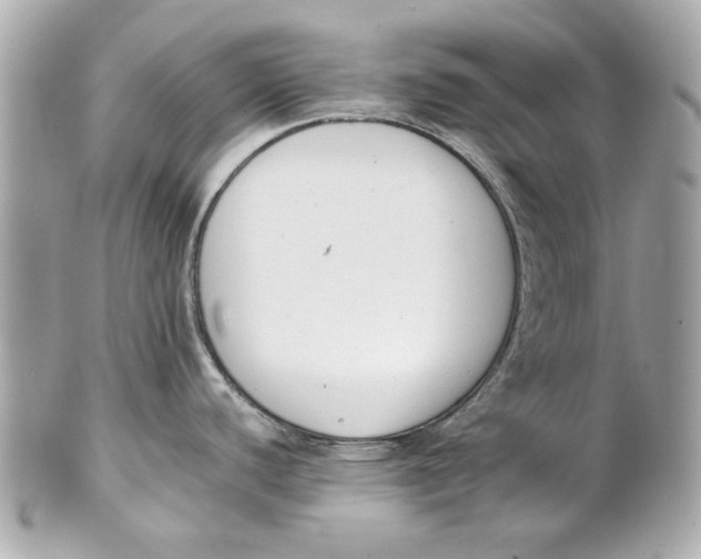 X0000101661440200807311425