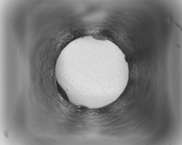 X0000101661441200807311425