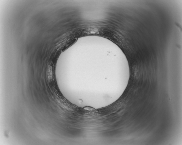 X0000101661442200807311425