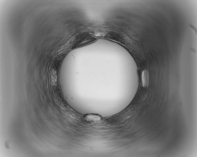 X0000101661443200807311425