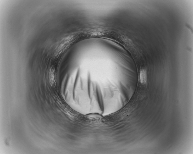 X0000101661444200807311425