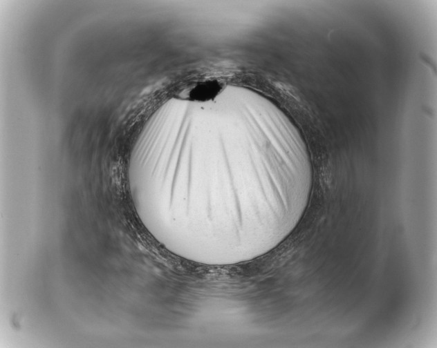 X0000101661445200807311425