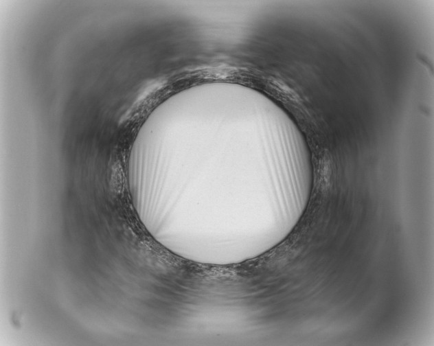 X0000101661446200807311425