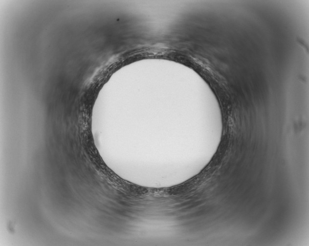 X0000101661447200807311425