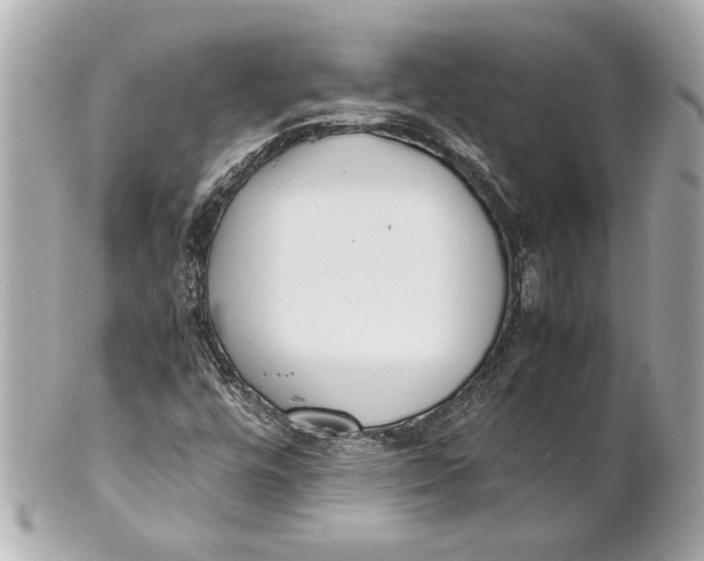 X0000101661448200807311425