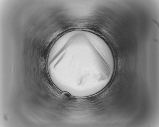 X0000101661449200807311425