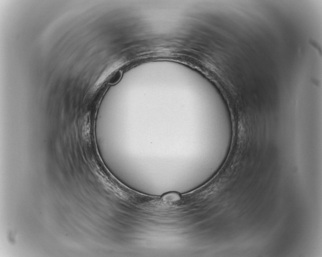 X0000101661450200807311425