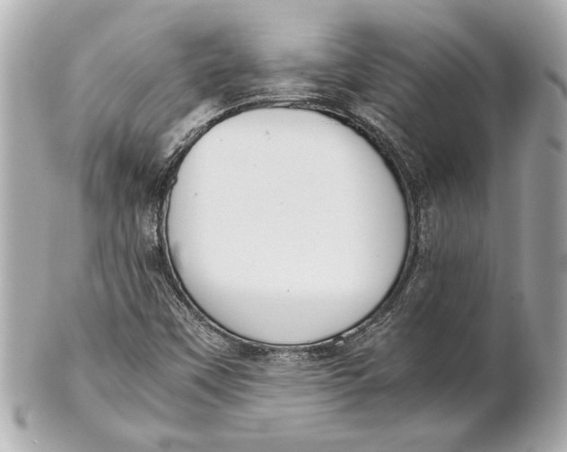 X0000101661451200807311425