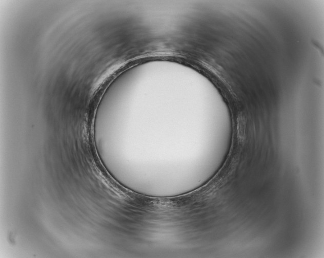 X0000101661452200807311425