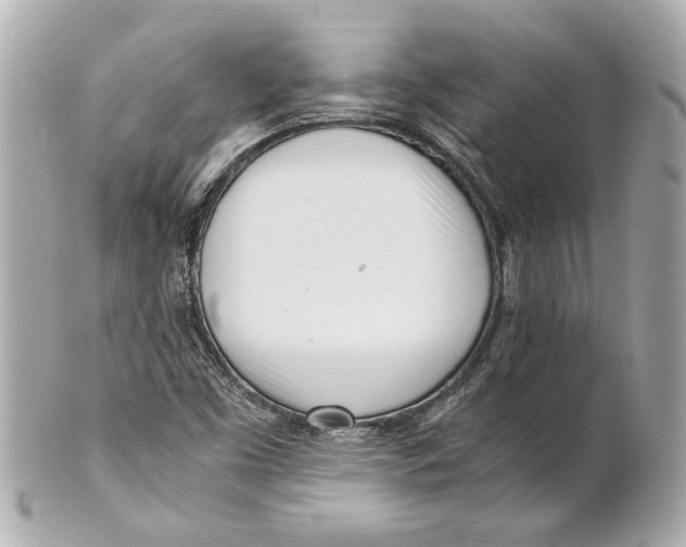 X0000101661453200807311424