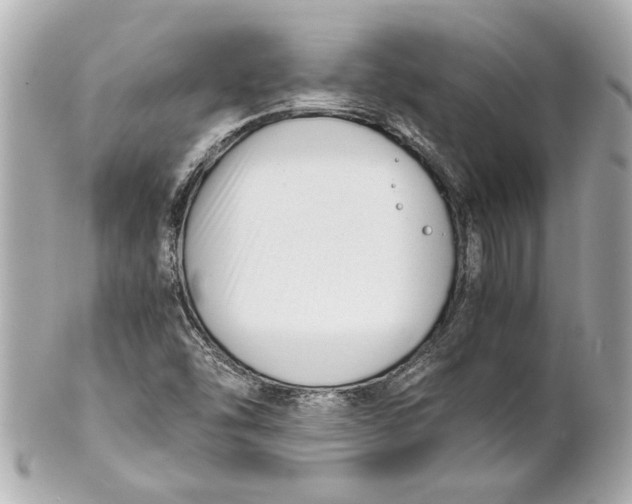 X0000101661454200807311424