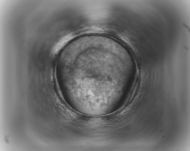 X0000101661455200807311424