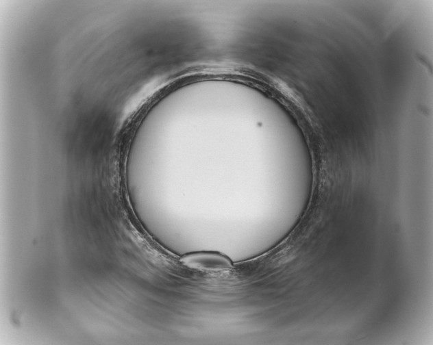 X0000101661456200807311424