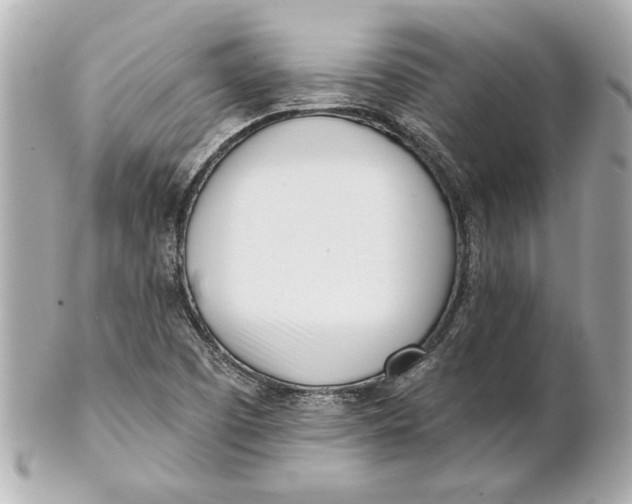 X0000101661457200807311424