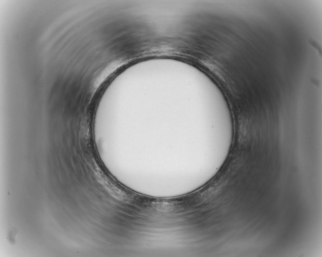 X0000101661458200807311424