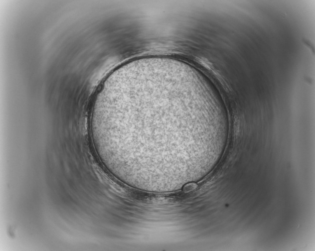 X0000101661459200807311424