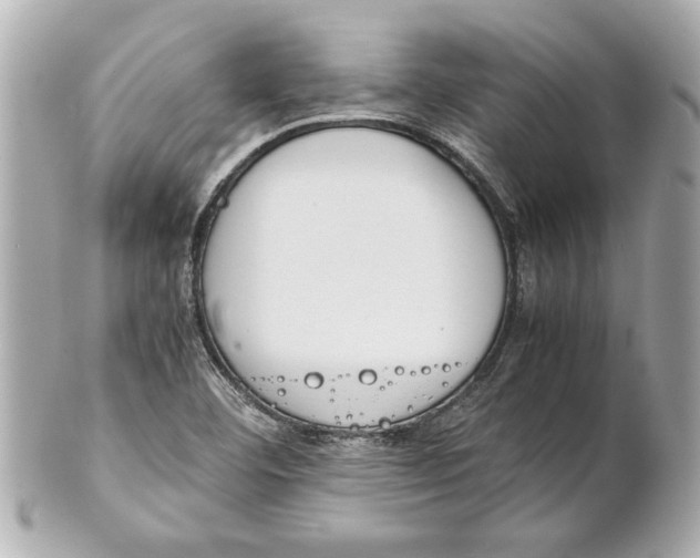 X0000101661460200807311424