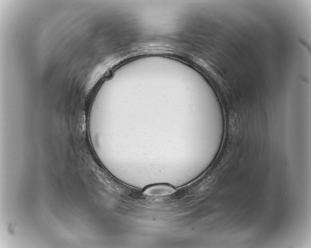 X0000101661461200807311424