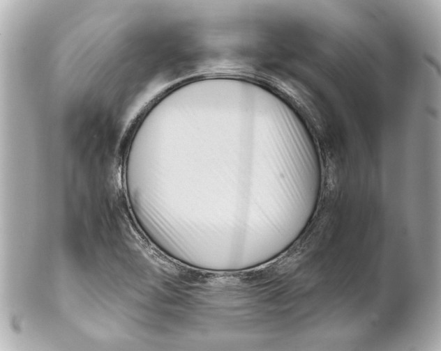 X0000101661462200807311424