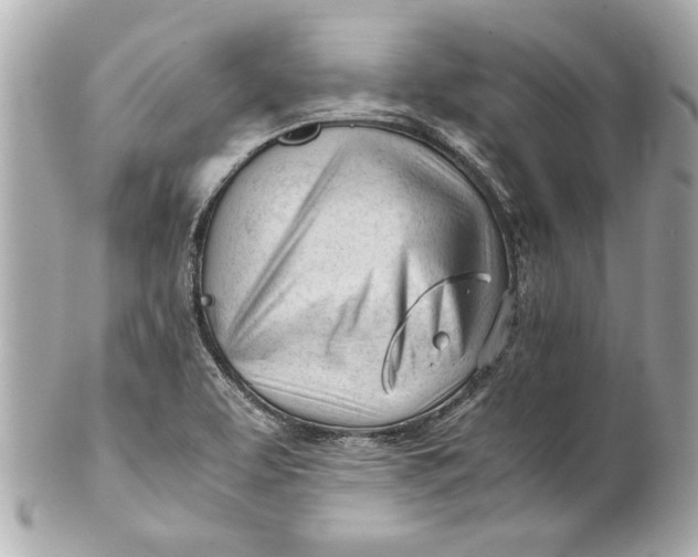 X0000101661463200807311424