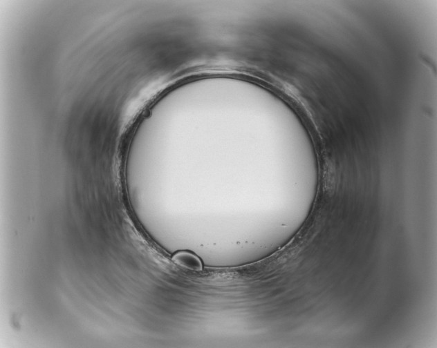 X0000101661464200807311424