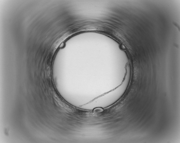 X0000101661465200807311424