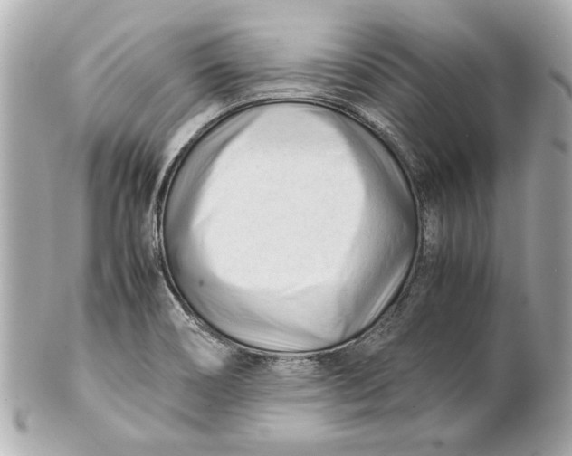 X0000101661466200807311424