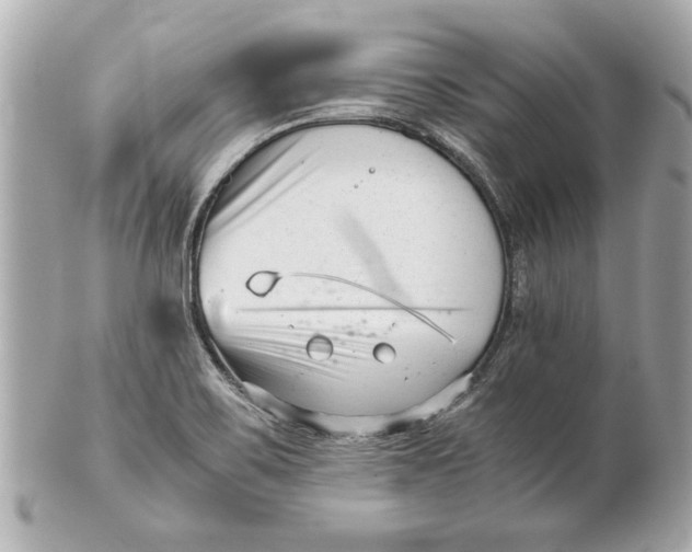 X0000101661467200807311424