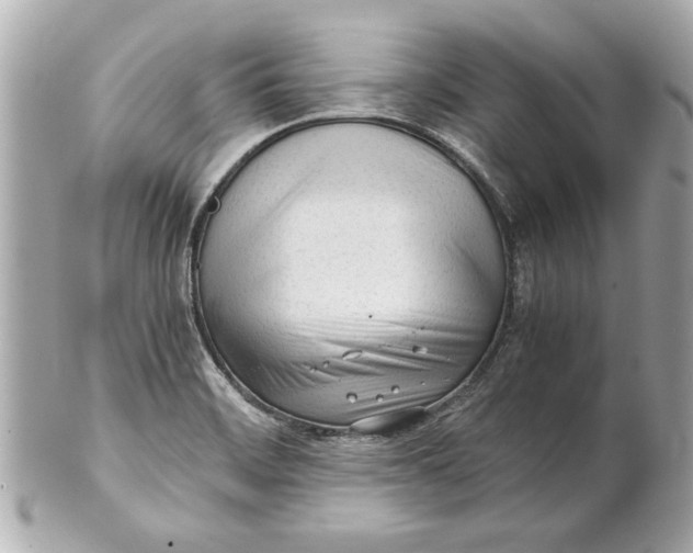 X0000101661468200807311424