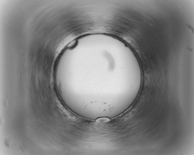 X0000101661469200807311424