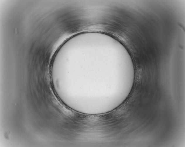 X0000101661470200807311424