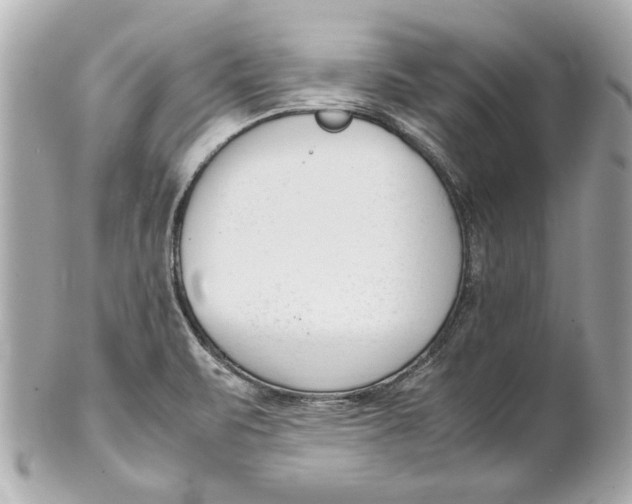 X0000101661471200807311424